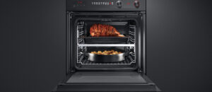 Fisher Paykel Oven Repair